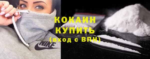 МДПВ Пестово