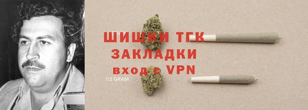 герыч Пересвет
