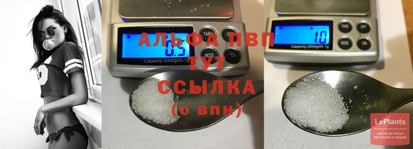герыч Пересвет