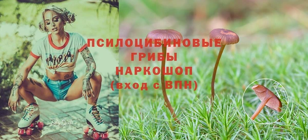 МДПВ Пестово