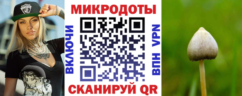 Псилоцибиновые грибы Magic Shrooms  где можно купить наркотик  Выборг 