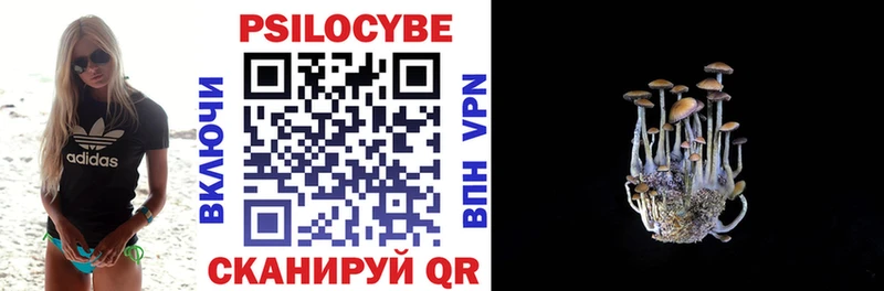 Галлюциногенные грибы GOLDEN TEACHER Выборг