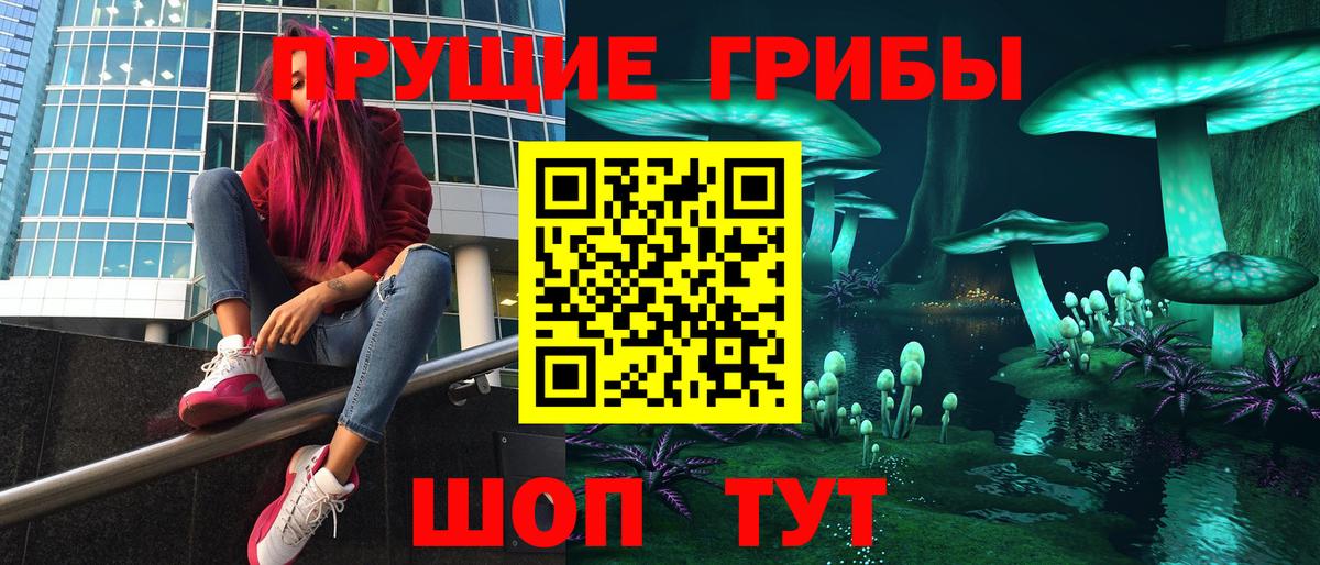 Псилоцибиновые грибы мицелий  где найти   Выборг  Псилоцибиновые грибы MAGIC MUSHROOMS 