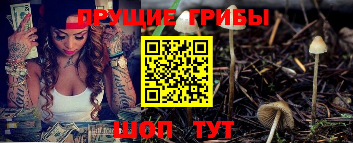 Выборг  Галлюциногенные грибы ЛСД  Вход с VPN 