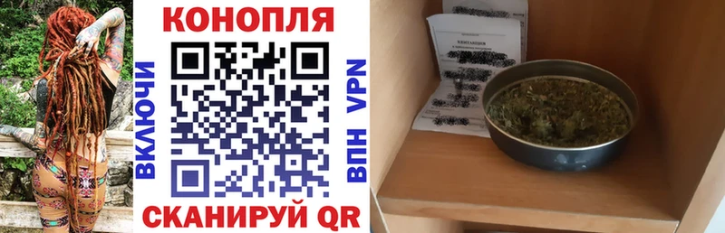 как найти наркотики  Выборг  Марихуана VHQ 