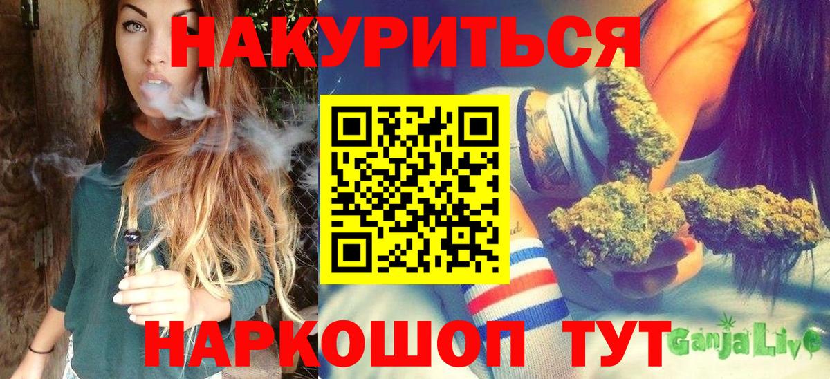 Конопля планчик  Вход с VPN  Выборг  Канабис сатива 